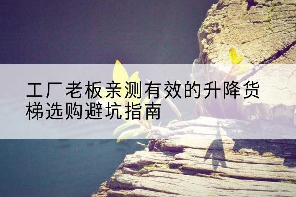 栾川升降货梯怎么选-工厂老板亲测有效的升降货梯选购避坑指南