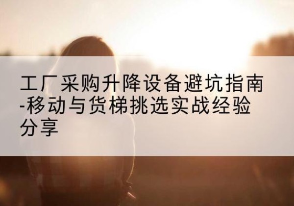 栾川移动式升降机怎么选-工厂采购升降设备避坑指南-移动与货梯挑选实战经验分享