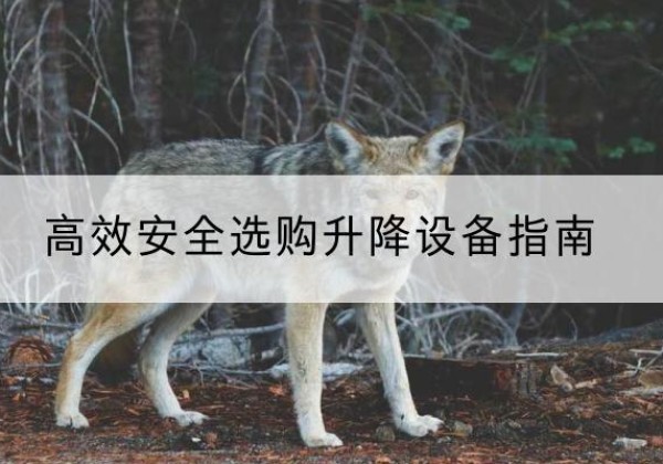 栾川升降货梯厂家推荐-*安全选购升降设备指南