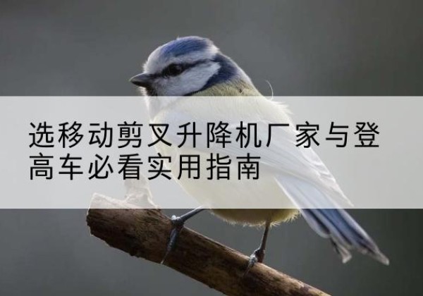栾川电动升降机厂家-选移动剪叉升降机厂家与登高车必看实用指南