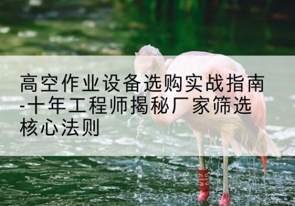 栾川剪叉式升降机厂家-高空作业设备选购实战指南-十年工程师揭秘厂家筛选核心法则